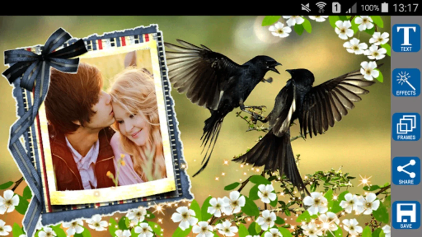 Love Birds Photo Frames for Android: Enhance Romance