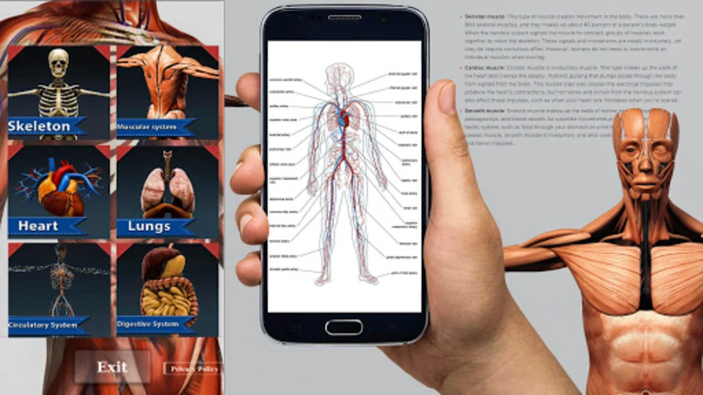 Human Anatomy And Physiology for Android: Enhance Your Knowledge