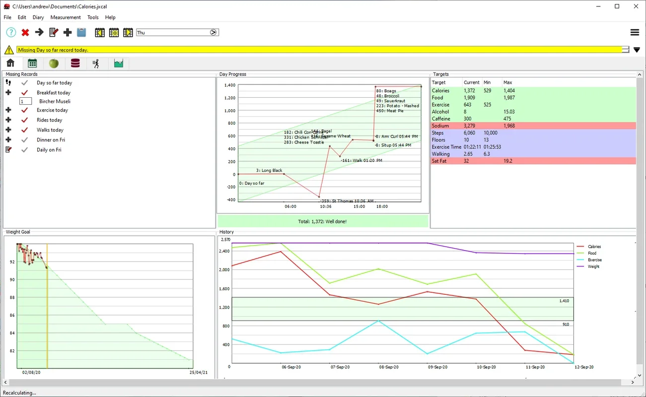 JXCirrus CalCount for Windows: A Health and Fitness Ally