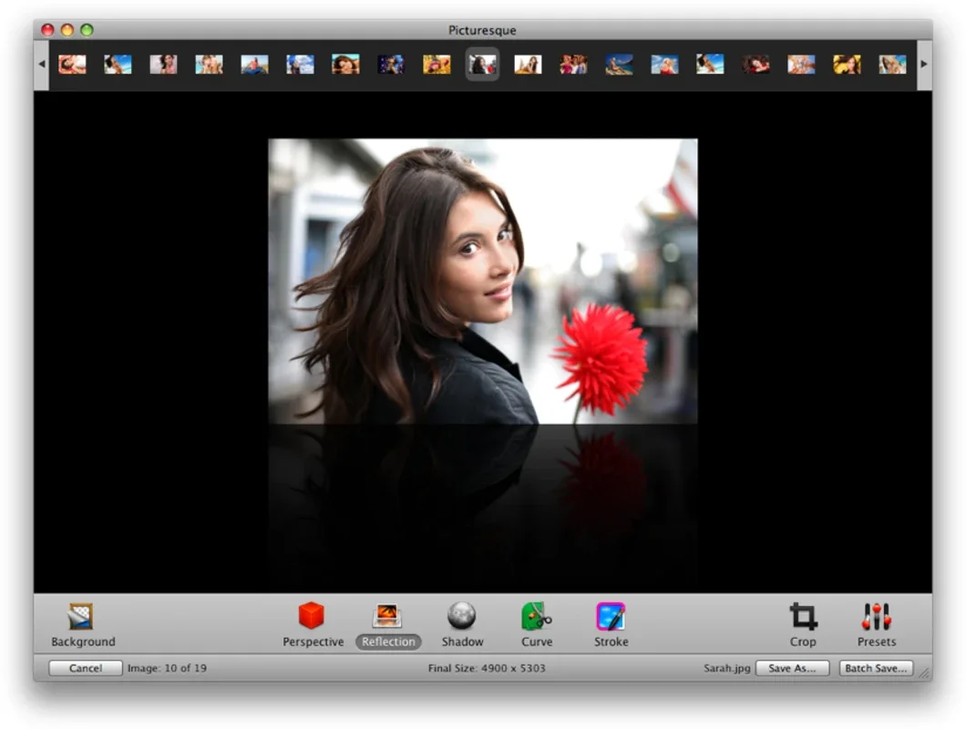 Picturesque for Mac - Transform Your Images with Multiple Effects