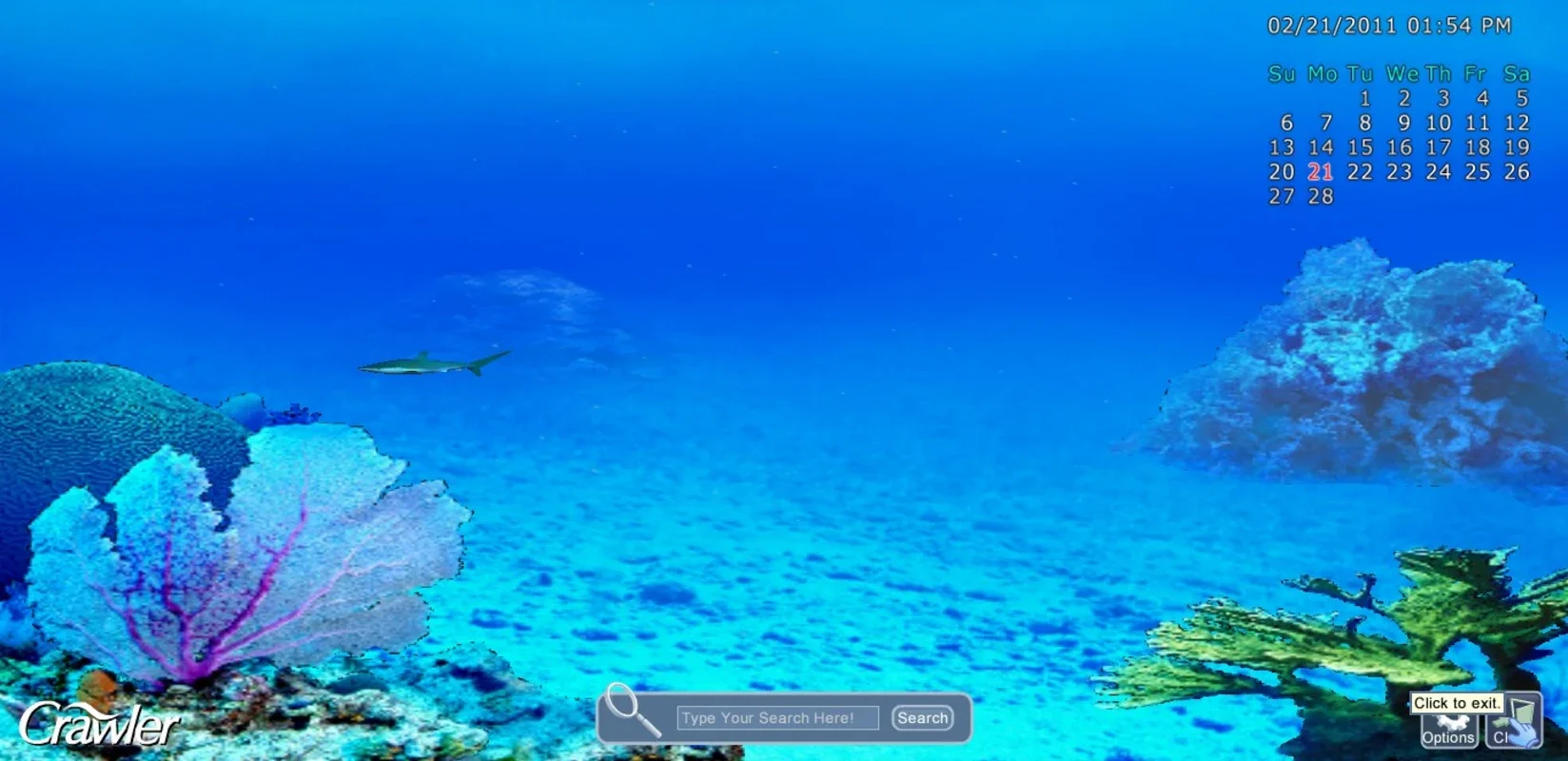 3D Marine Aquarium Screensaver for Windows - Desktop Oceanic Experience