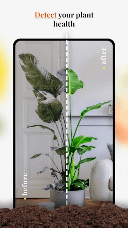 Plant-X for Android: Identify Plants and Get Gardening Tips