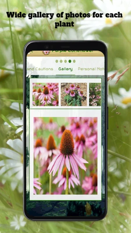 Medicinal Plants for Android - Discover Natural Healing