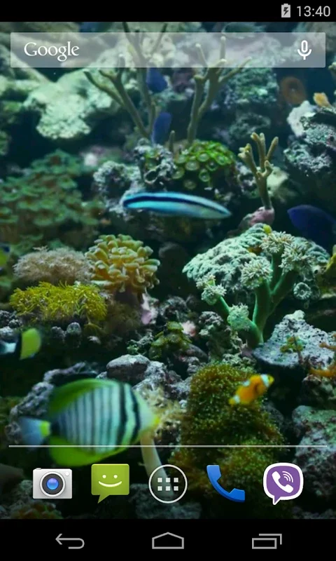 Aquarium Video Live Wallpaper for Android - Battery-Efficient Oasis