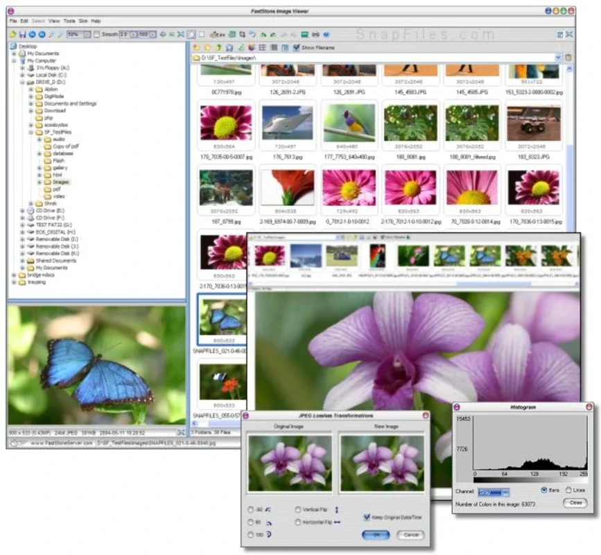 FastStone Image Viewer for Windows - Free Download