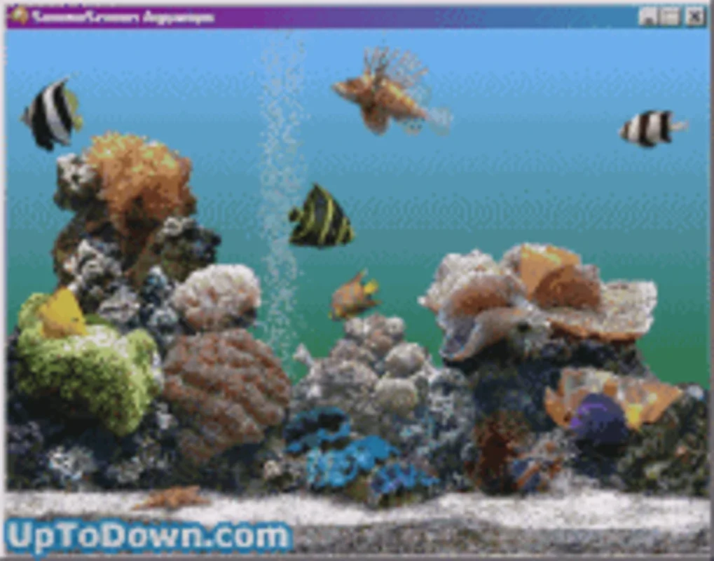 SereneScreen Aquarium for Windows - A Visual Delight