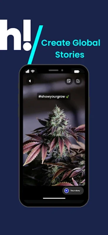 High There: Cannabis Community for Android - Engaging Platform