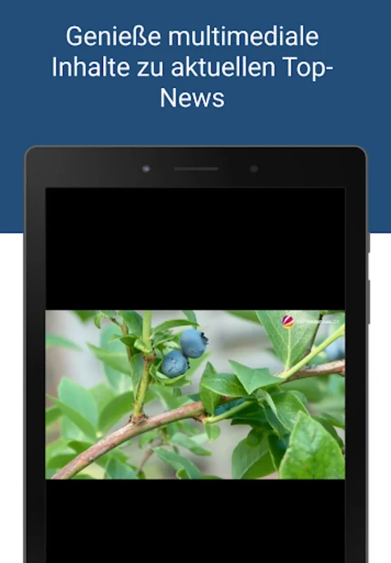 soester-anzeiger.de for Android - Stay Informed with Local News