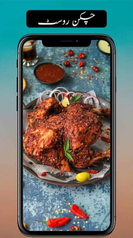 Pakistani Urdu Recipes for Android - Rich Culinary Experience