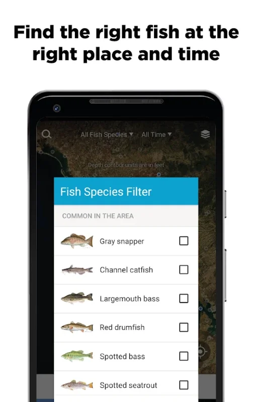 FishBrain for Android - Connect with Fishing Community