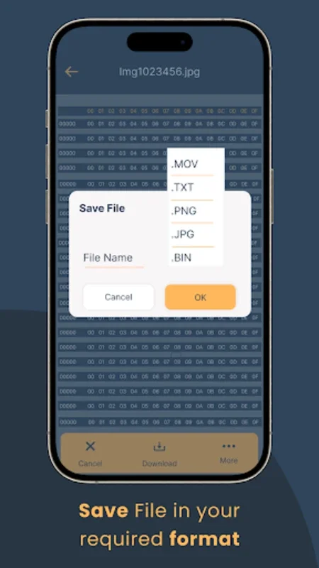 Bin File Opener Converter for Android: Simplify Binary File Operations