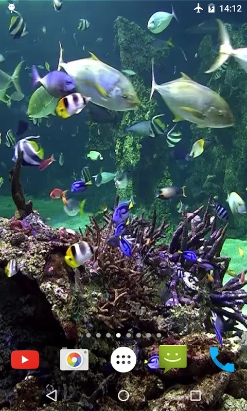 Aquarium 4K Video Wallpaper for Android - Transform Your Screen