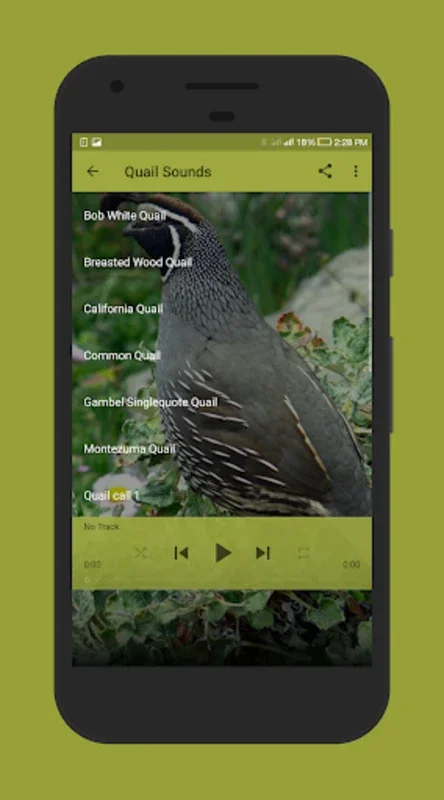 Quail Sounds for Android: Enjoy High - Quality Quail Audio