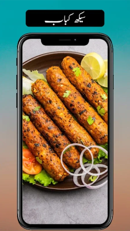 Pakistani Urdu Recipes for Android - Rich Culinary Experience