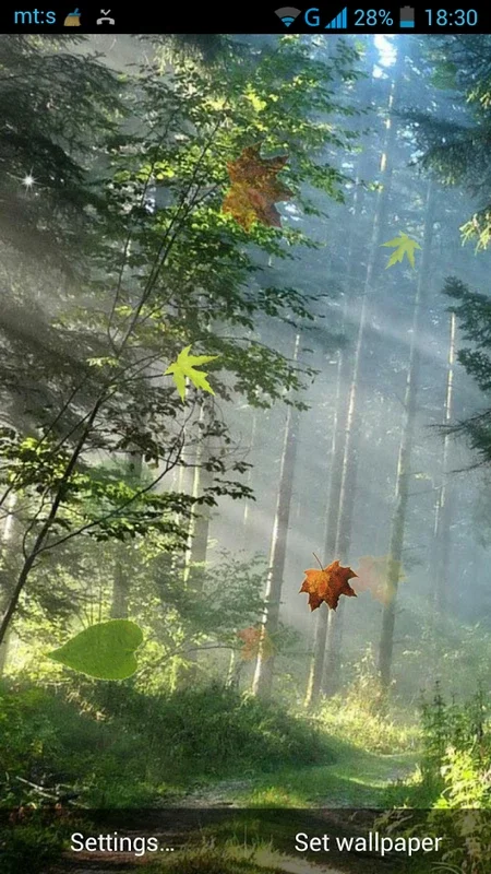 Forest Live Wallpaper for Android - Serene Forest Scenes