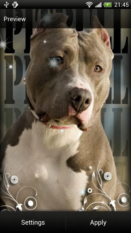 Pitbull Dog Live Wallpaper for Android: Charming Screen Backgrounds