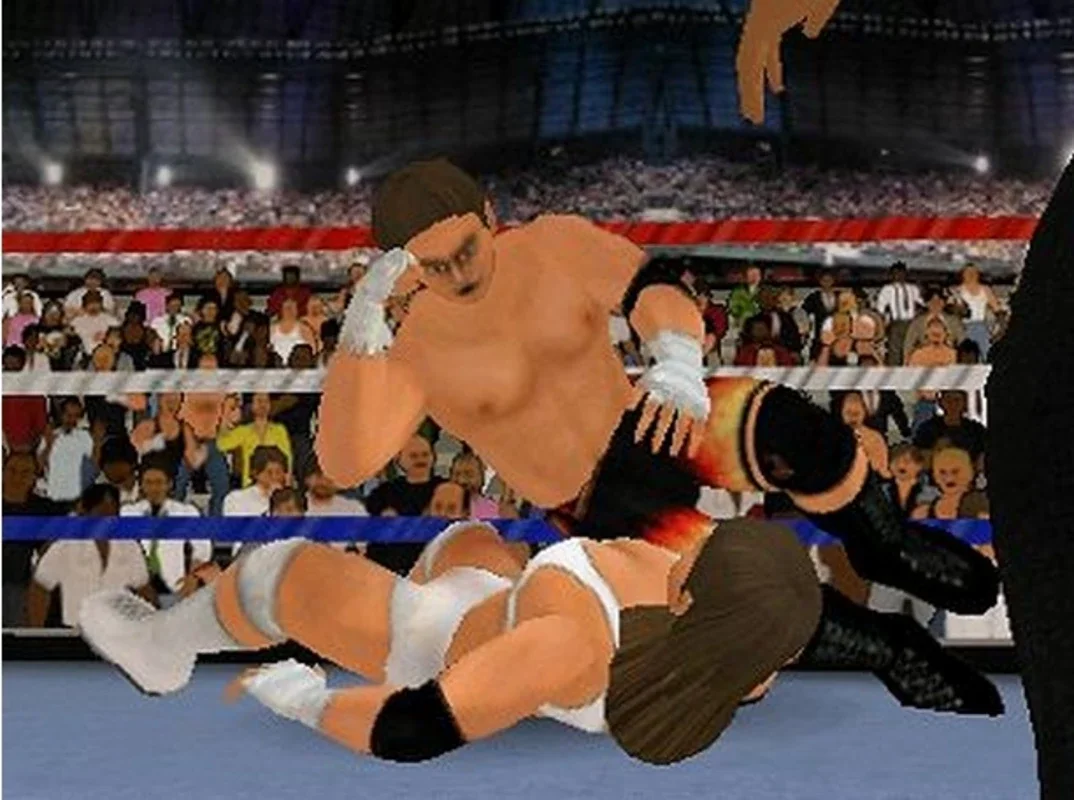 Wrestling Encore for Windows - Customizable 3D Wrestling