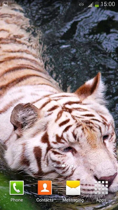 White Tiger Live Wallpaper for Android - Enhance Your Screen