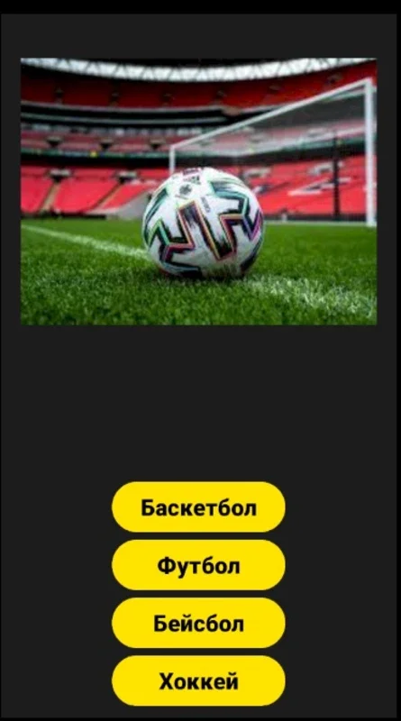 Bet on Sports for Android - Exciting Betting Experience