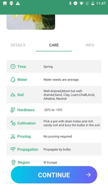 Plant Lens for Android: Identify Plants Easily