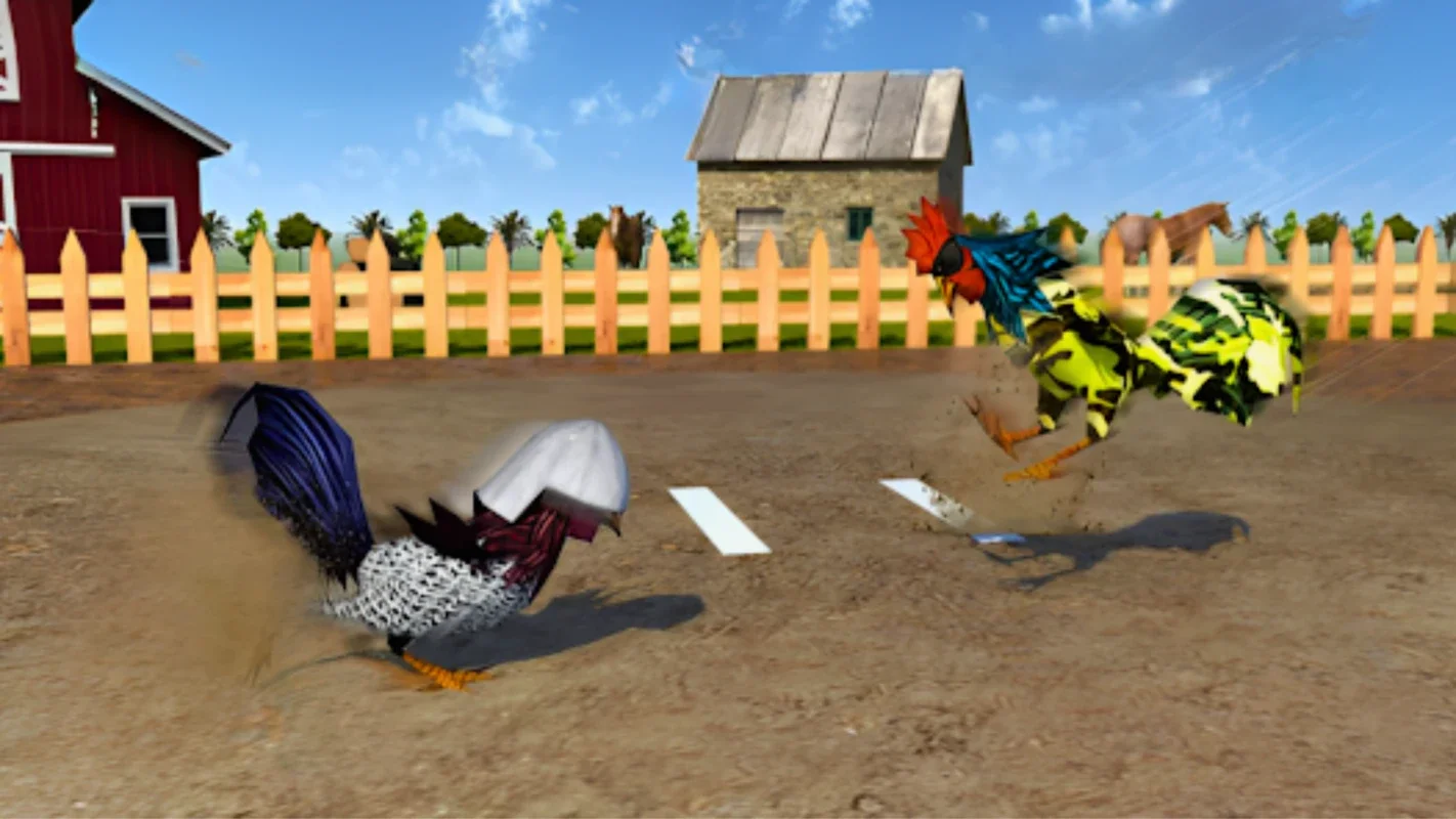 Angry Chicken Fighting Cock for Android - Free APK Download