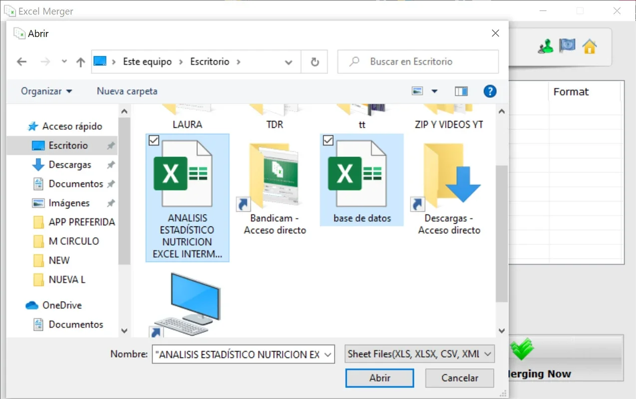 Excel Merger for Windows - Efficient File Merging