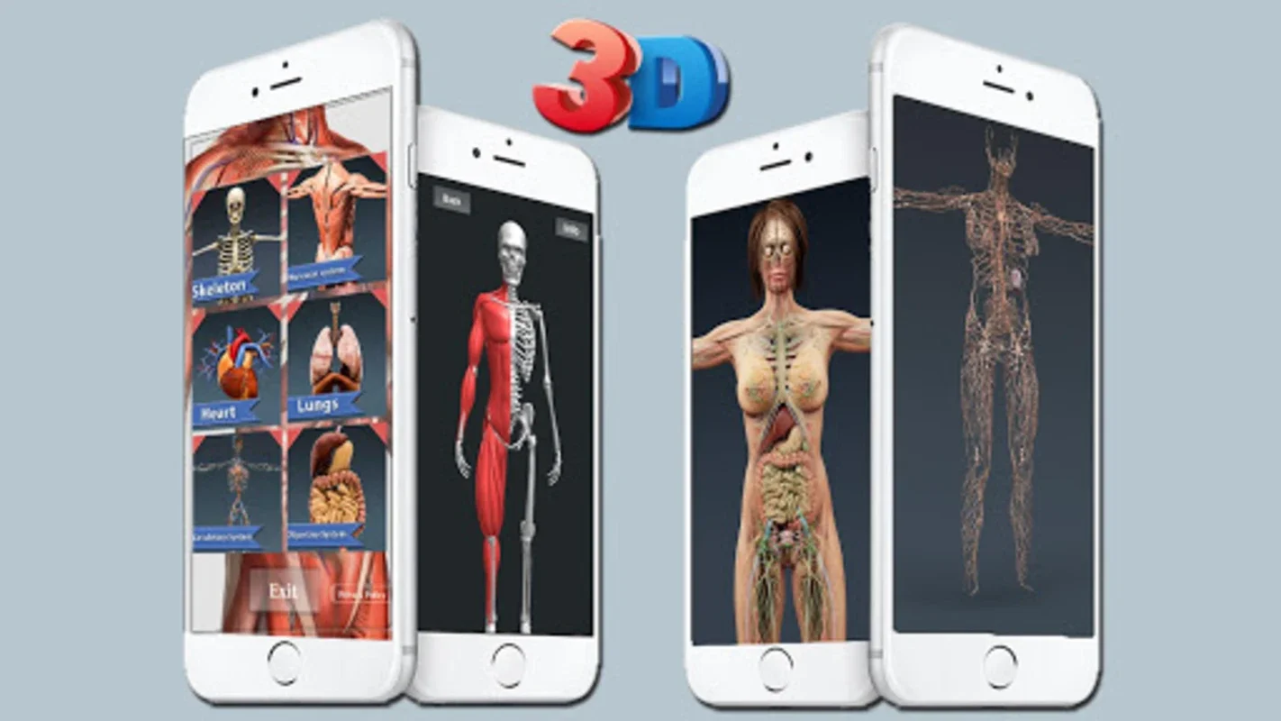 Human Anatomy And Physiology for Android: Enhance Your Knowledge