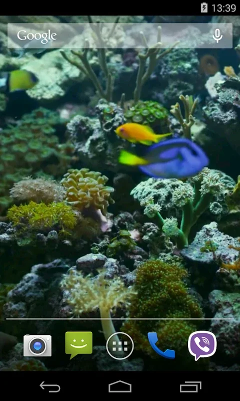 Aquarium Video Live Wallpaper for Android - Battery-Efficient Oasis