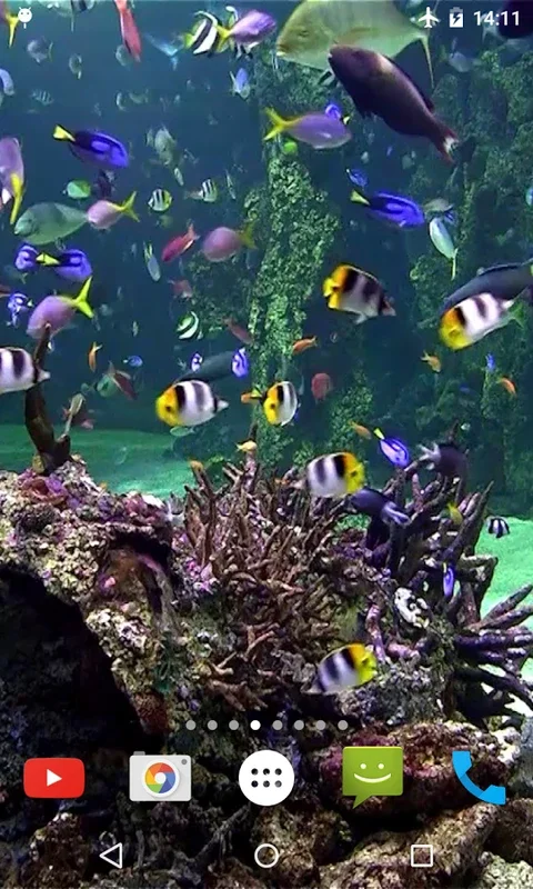 Aquarium 4K Video Wallpaper for Android - Transform Your Screen