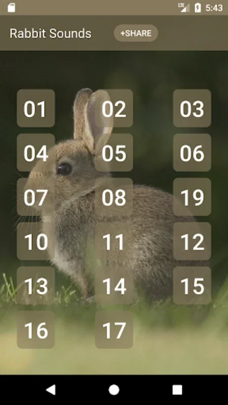 Rabbit and Bunny Sounds for Android - Enhance Pet Care