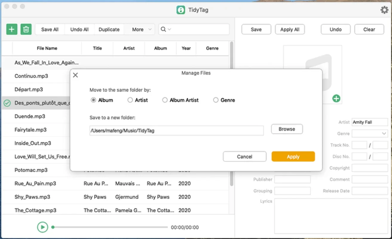 TidyTag Music Tag Editor for Mac: Organize Your Music