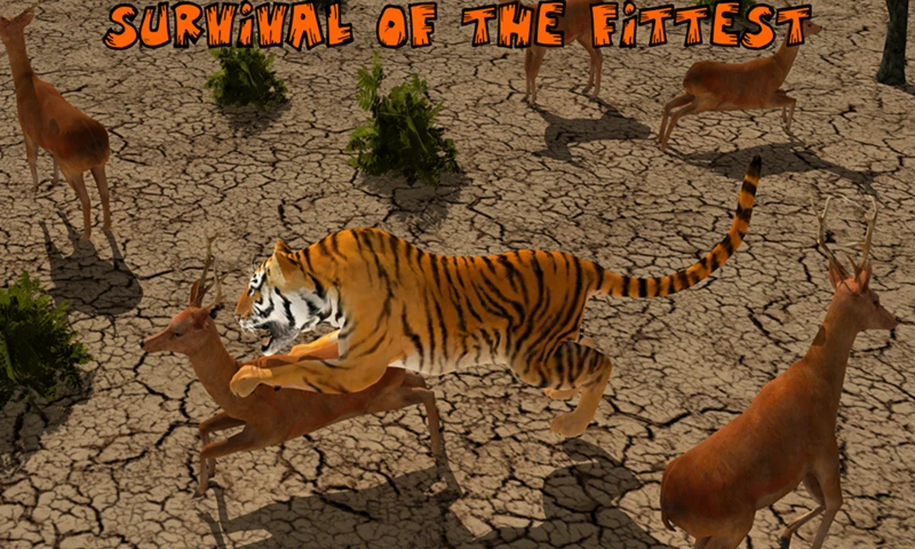 Lion vs Tiger for Android - Wild Adventure Awaits