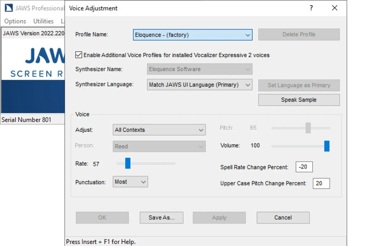 Jaws for Windows - Accessible Software for Blind Users