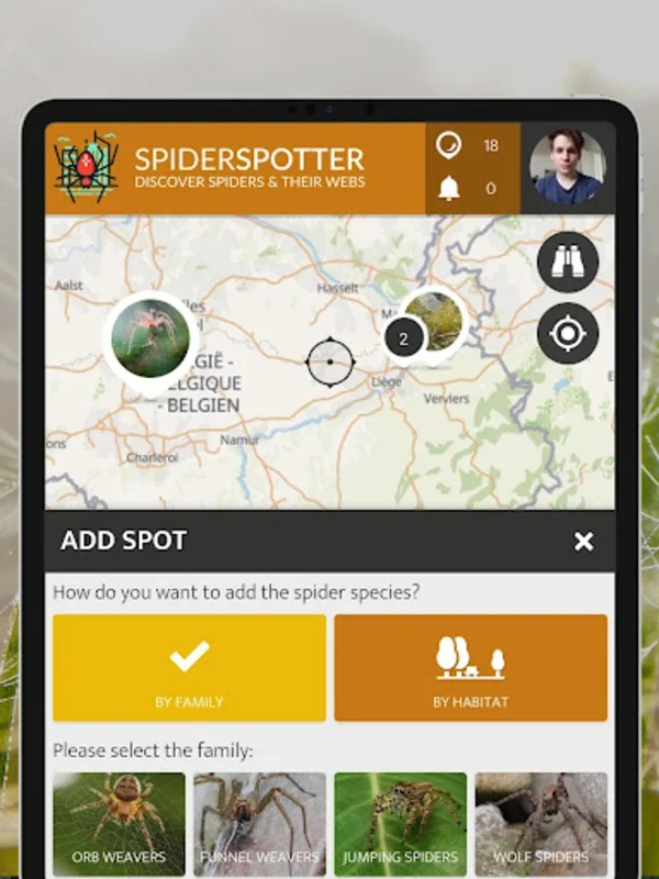 SpiderSpotter | SPOTTERON for Android: Unveiling Urban Spider Adaptability