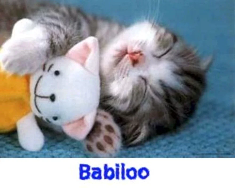 Babiloo for Windows - A Free English-Spanish Dictionary