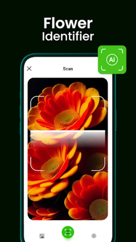 Bloomify - Plant Identifier for Android - No Downloading Needed