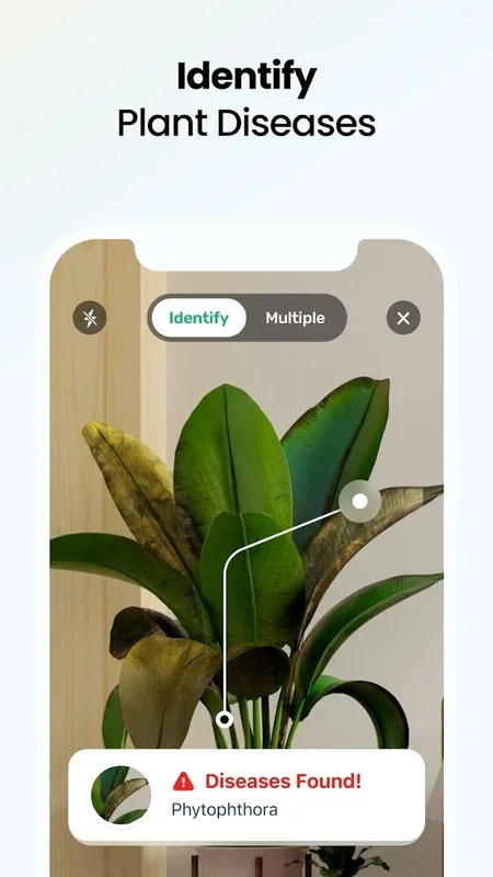 Plant App for Android - Identify 46,000+ Plants with AI