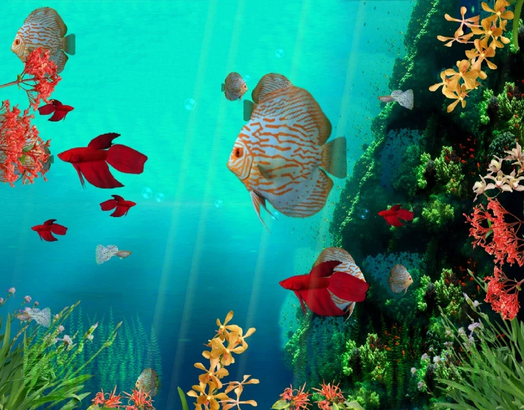 Coral Reef Aquarium 3D Animated Wallpaper for Windows - Immerse in the Ocean