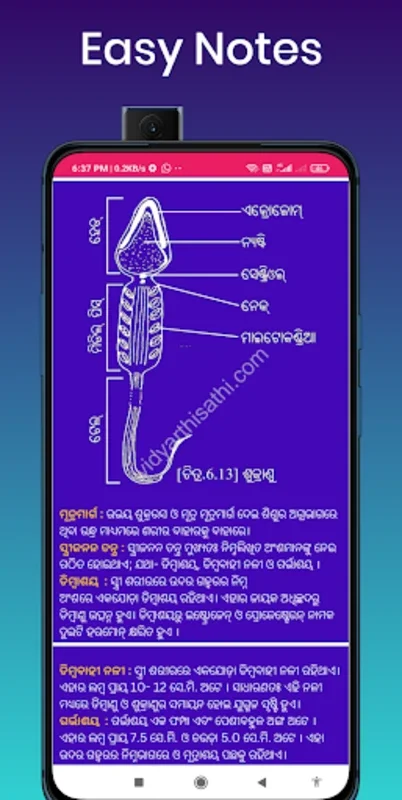 Odisha Class-10 for Android - No Downloading Needed