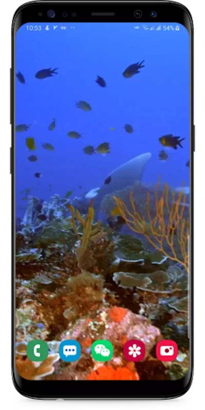 Real Aquarium Live Wallpaper for Android - No Downloading Needed