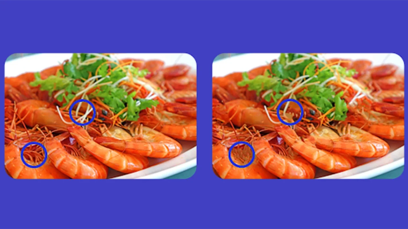 Spot The Differences - Tasty Food for Android: A Fun and Challenging Puzzle Game