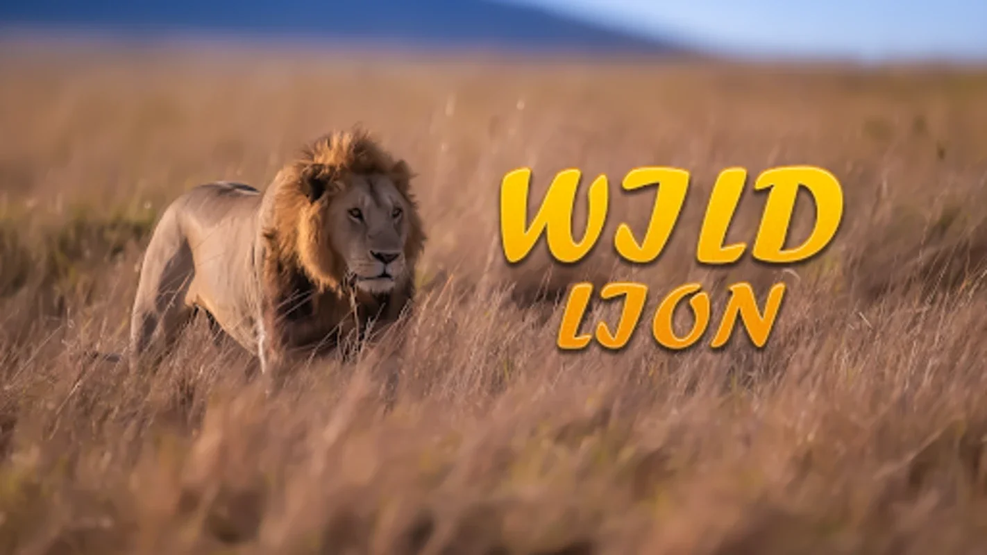 Lion Simulator Animal Games 3D for Android - Experience the Life of a Lion