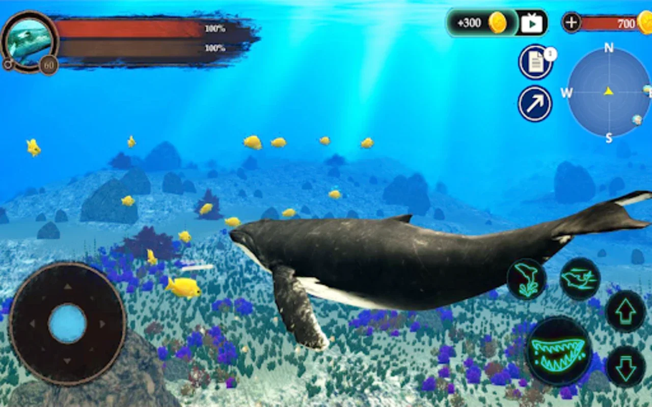 The Humpback Whales for Android - Immersive Ocean Adventure