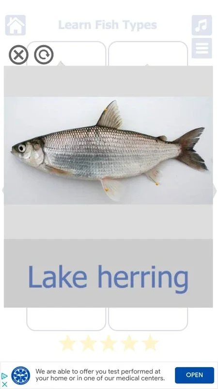 Fish Types for Android: Explore Diverse Fish Species