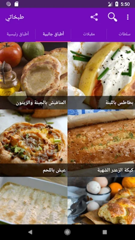 Tabkhaty طبخاتي for Android - Diverse Arabic Recipes