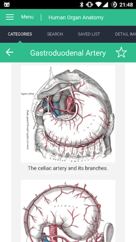 Human Organs Anatomy Reference for Android: Comprehensive Insights