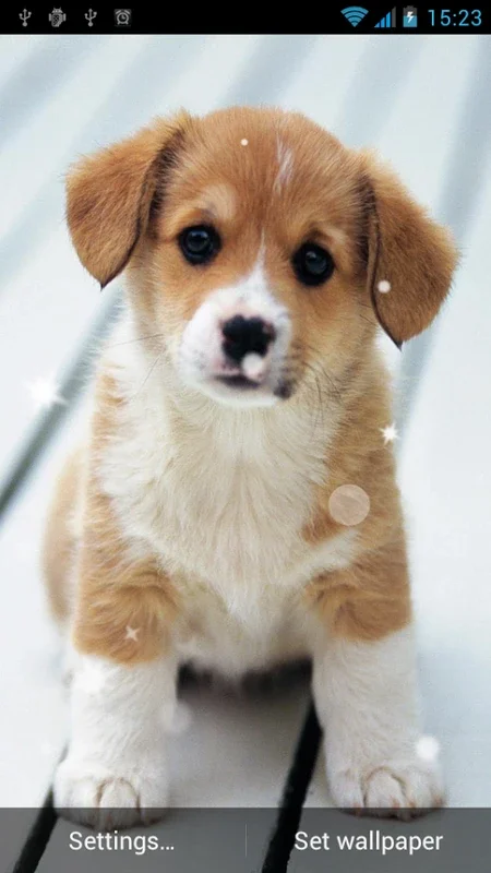 Puppy Live Wallpaper for Android - Charming Wallpapers