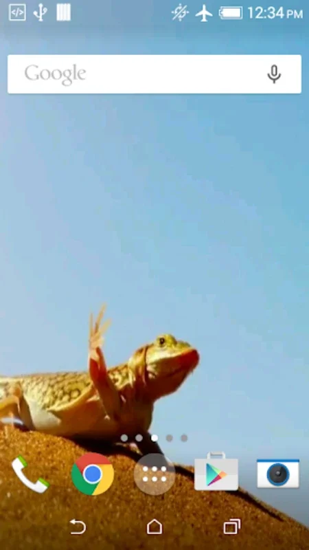 Funny Lizard Live Wallpaper for Android - Enhance Your Screen