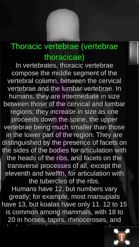 Bones Human 3D (anatomy) for Android: In - Depth Skeletal Knowledge