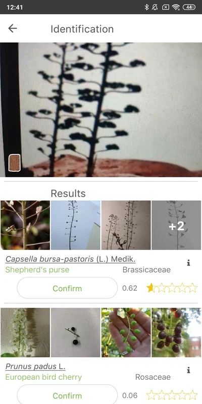 PlantNet Plant Identification for Android: Easy Plant Identification